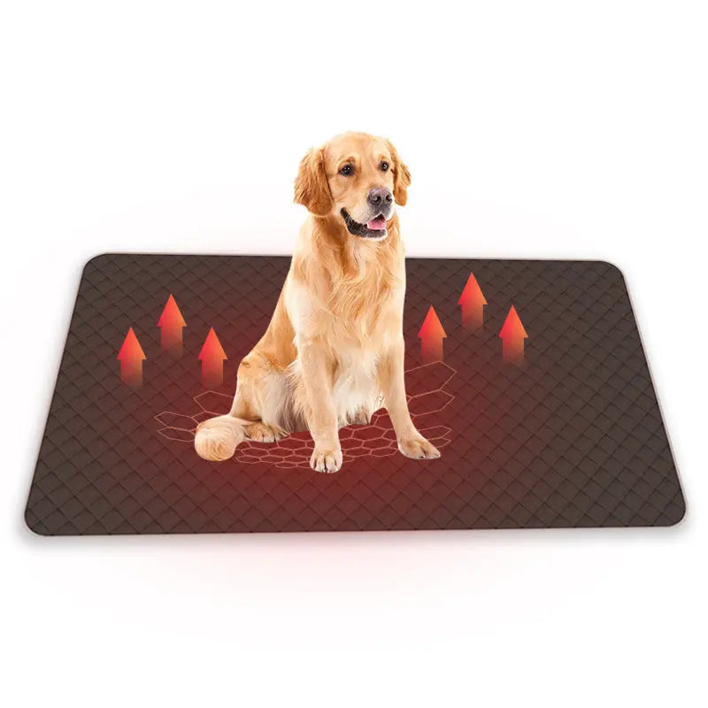Dog sitting on a heated dog mat with red heating indicators.