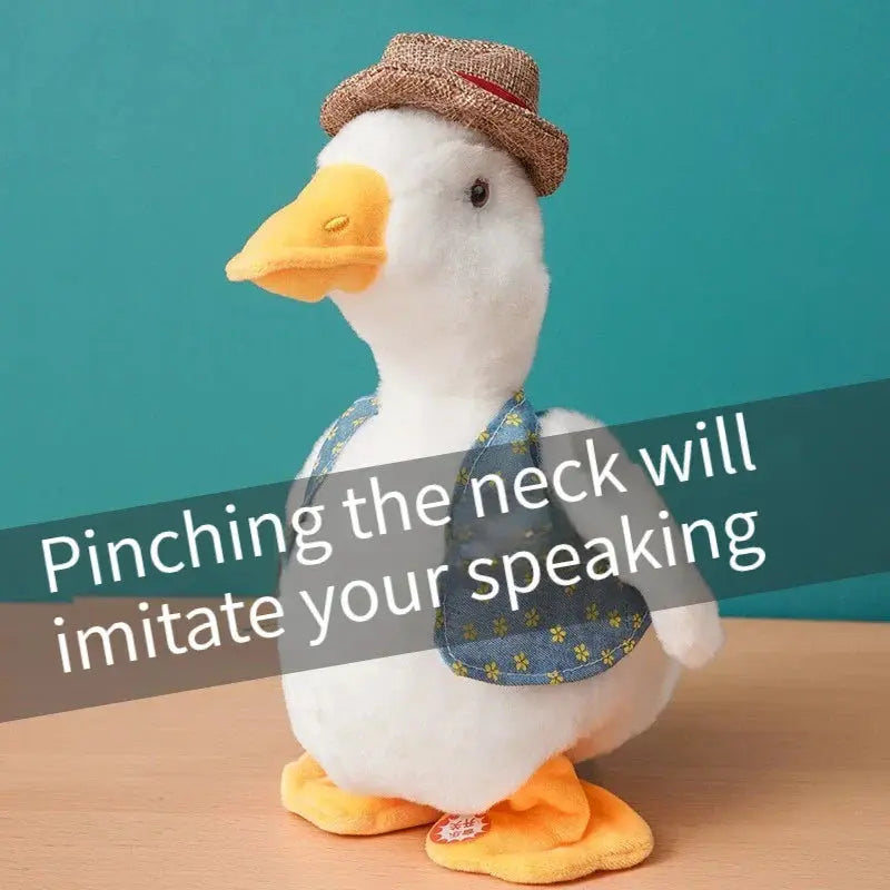Stuffed toy duck with a hat and scarf on a teal background